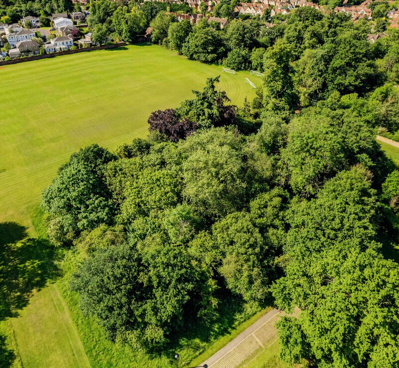 Leighton Park School, sports field.